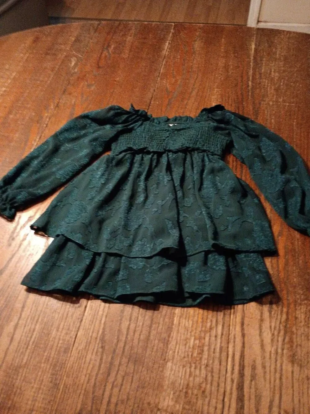 New Rare Editions Hunter Green Chiffon Smocked Girls Dress Size 7 NWT